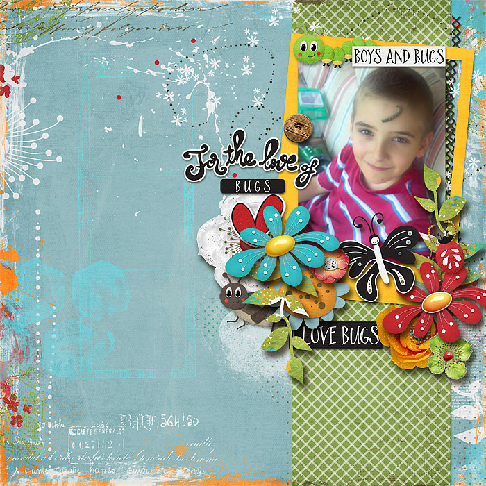 dt-onederful3_redivy_bugthing_robin_700