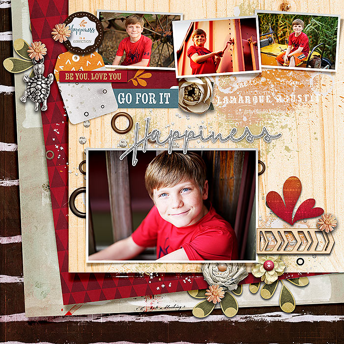 fdd_HangAShiningStar_DD_tp2happinessis