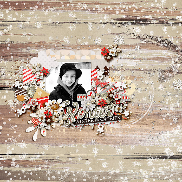 redivy_sparklingwinter_ttt83