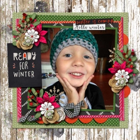 Apilisa_PicturePerfect147_redivy_winteriscoming_robin_web.jpg