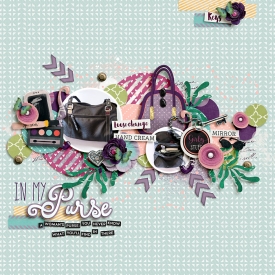 InMyPurse_F.jpg