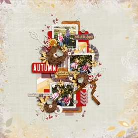 LettersFromAFallenLeaf.jpg