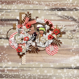 Tinci_Christmassteps1_redivy_sparkwint_robin_700.jpg