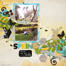 blueskiesspringflowersri1-700.jpg