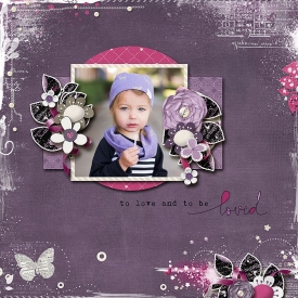 jy_jandaily-tp15_redivy_darlingi_robin_web.jpg
