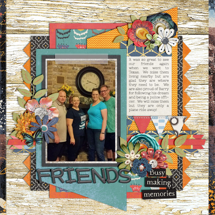 wc_friends_DSD2017