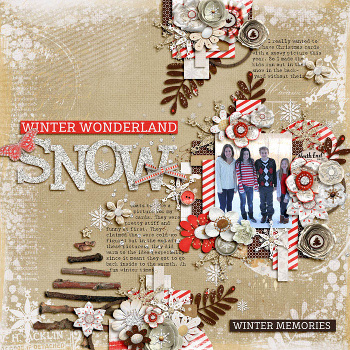 winter_wonderland4