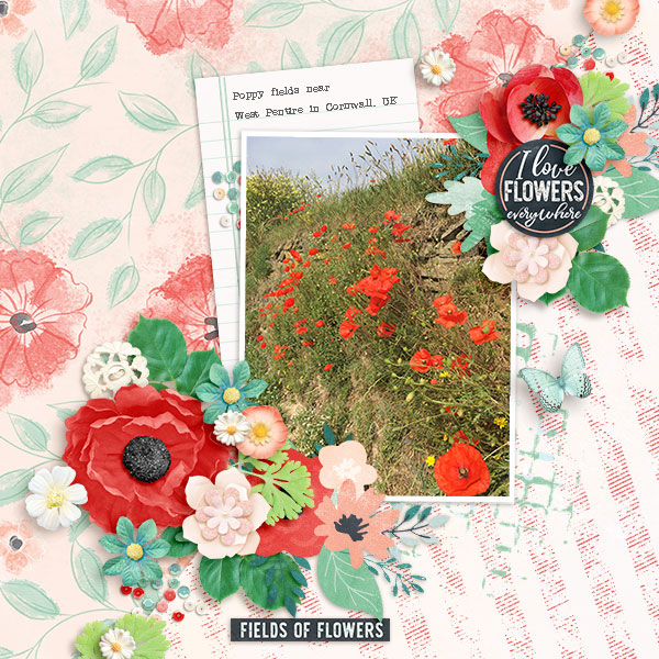 Fields-of-Flowers