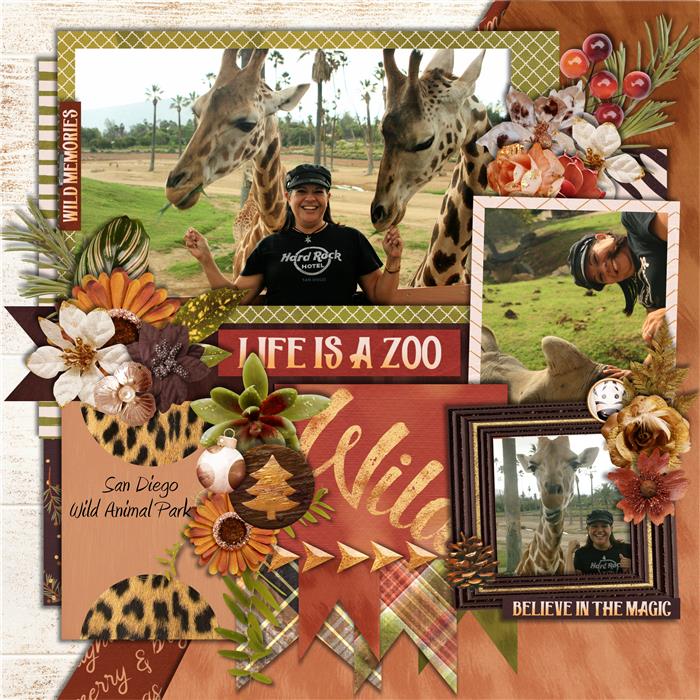 Life_is_a_Zoo_Custom_