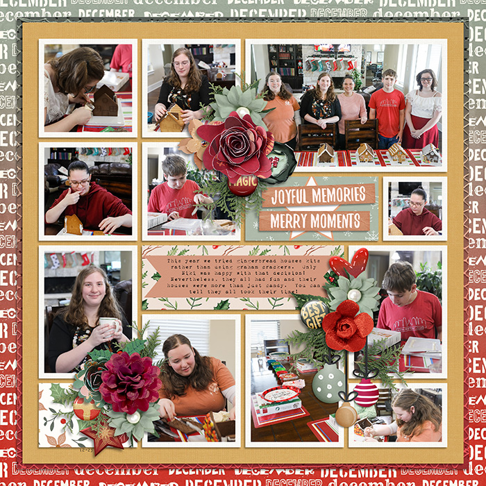 Robin_All-Year-Round-Dec-SSD