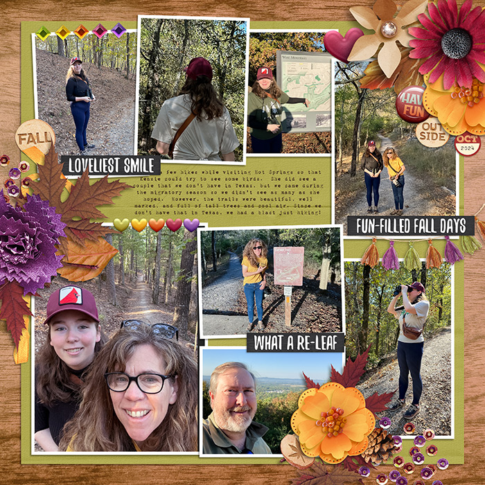 Robin_All-Year-Round-October-SSD