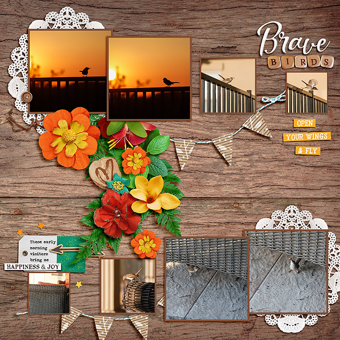 Robin_Brave-Wings-SSD