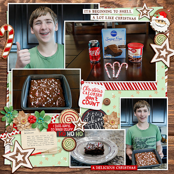 Robin_Christmas-Baking-SSD