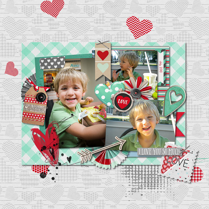 Robin_Day_of_Love_SSD