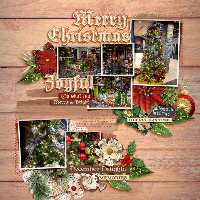Robin_Germanic-Noel-SSD