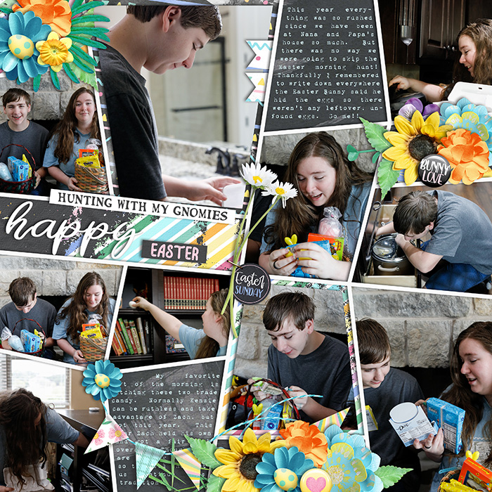 Robin_Gnome-for-Easter-SSD-whiteish