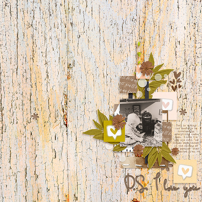 Robin_Green-Spring-no1-SSD