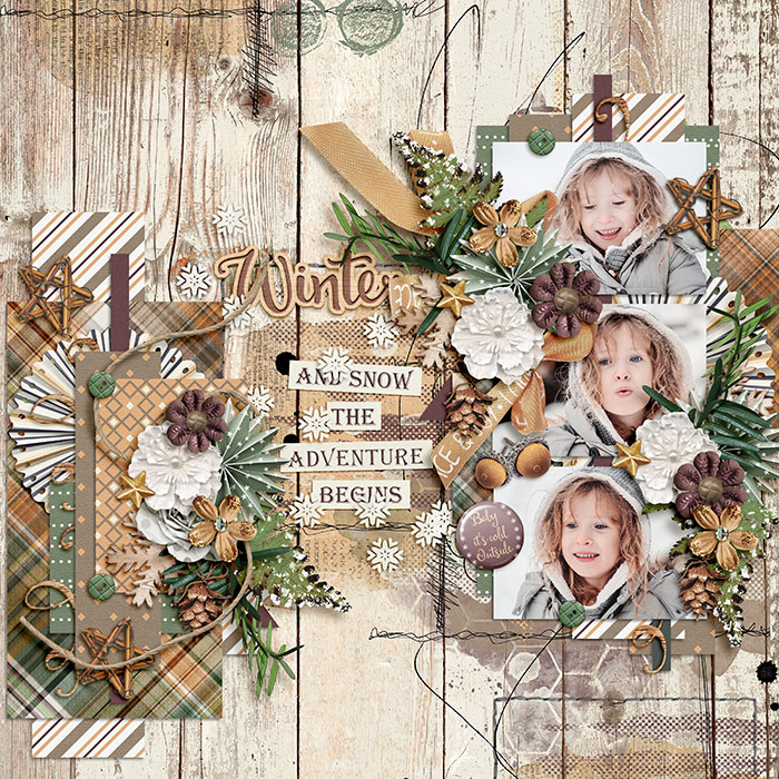 WPD-TD-Winter-9Dec