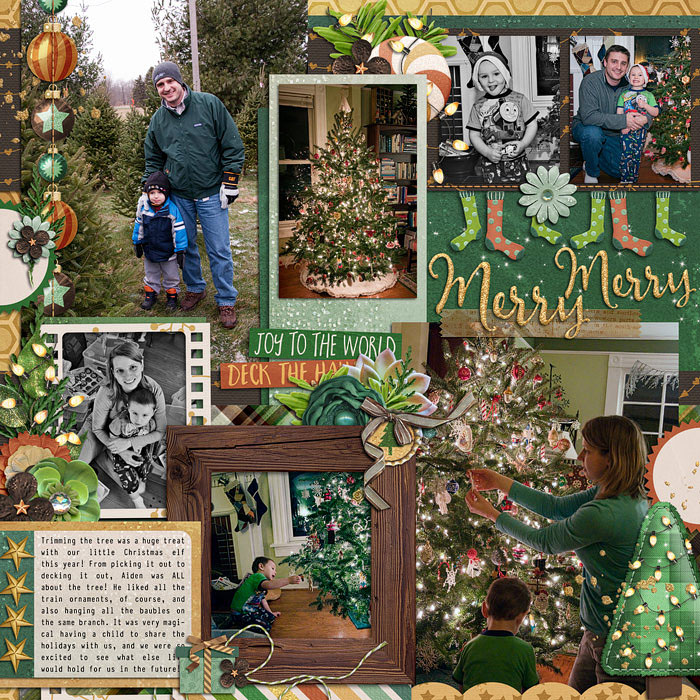 allyanne_botanical-christmas-01