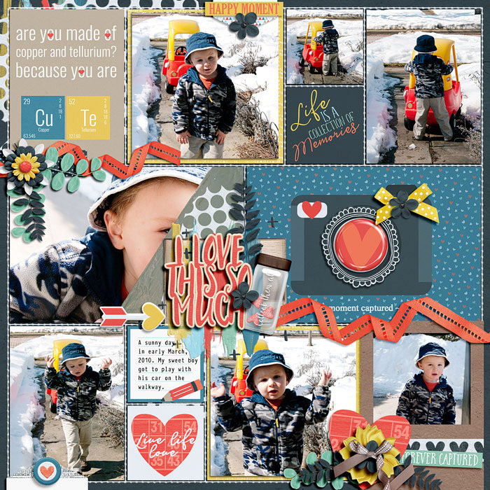 allyanne_collect-beautiful-memories-01