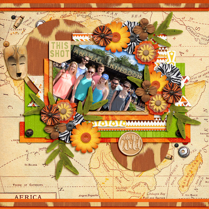animal_kingdom_ssd