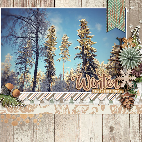 carinak-winterwoodland-layout001