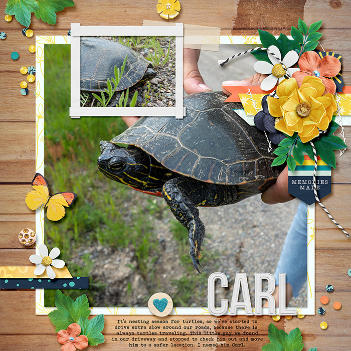 carl-web