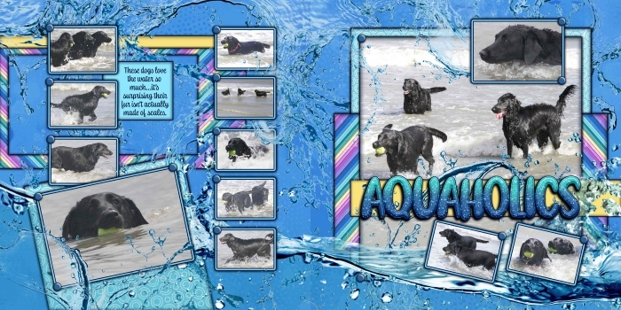 Aquaholics