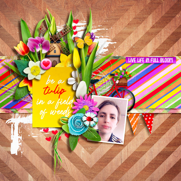be a tulip