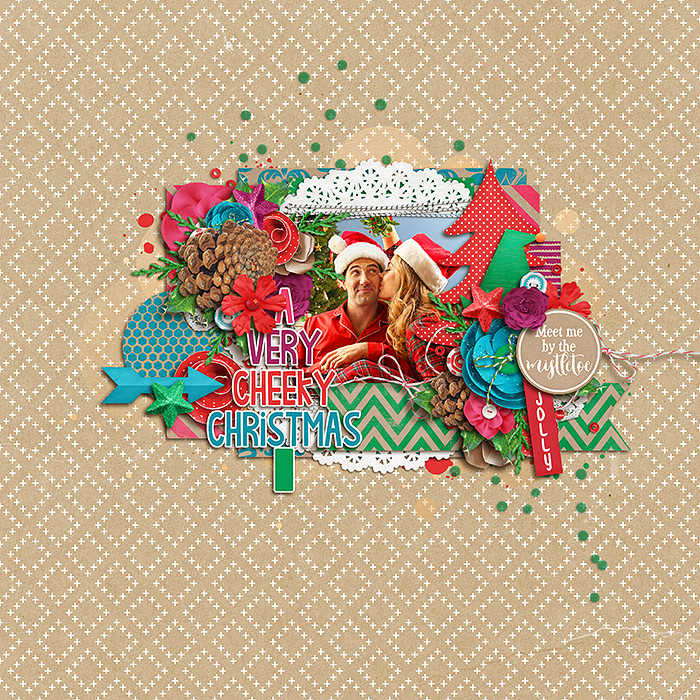 mistletoeF700