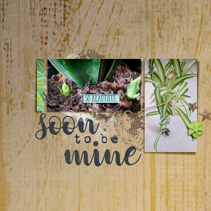 soontobeMine-Dalis-700