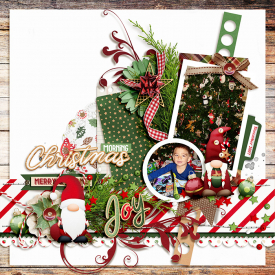 700SSDtnp-bakingspiritsbright-Tammy-LO2.jpg