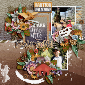 700ssdsserenity_autumnal2.jpg