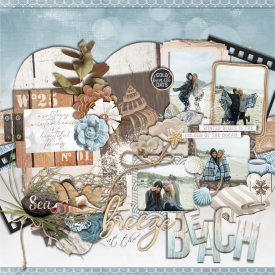 BREEZE_BY_THE_BEACH_.jpg