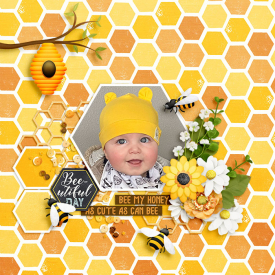 Bee-My-Honey-700.jpg