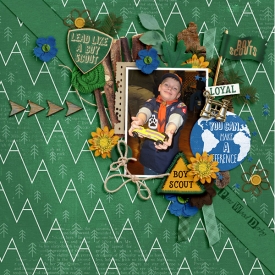 Boy-Scout.jpg