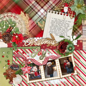 Christmas_Joy_Custom_.jpg