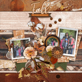 FALL_SPLENDOR.jpg
