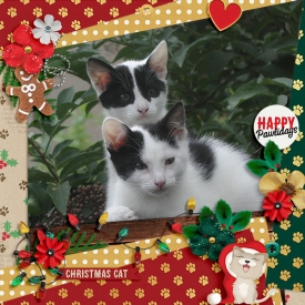 Happy-Pawlidays.jpg