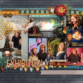 Harry-Potter-Exhibition-small.jpg