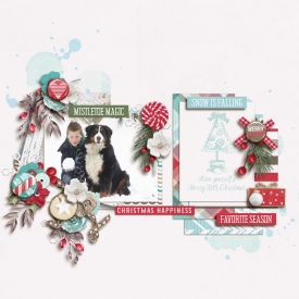 Have_yourself_a_country_little_Christmas700.jpg