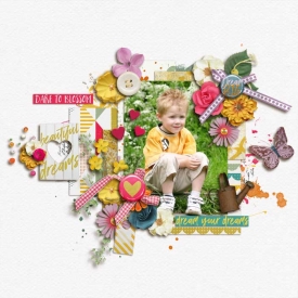 Let-your-dreams-blossom700.jpg