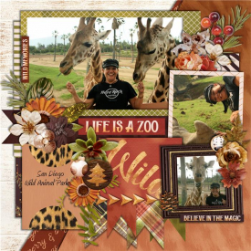 Life_is_a_Zoo_Custom_.jpg