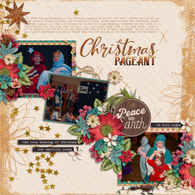 Robin_Canyon-Christmas-SSD.jpg