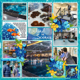 Robin_Learn-to-Swim-SSD1.jpg