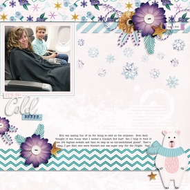 Robin_Snowflake-Wishes.jpg