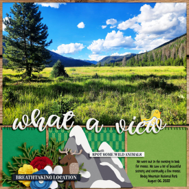 RockyMtNP2022web.jpg