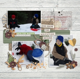 Snow-Adventure-small.jpg
