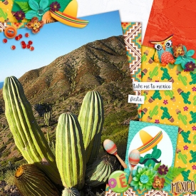 Take-me-to-Mexico.jpg