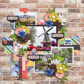 WPD-TD-Netherlands-5May.jpg